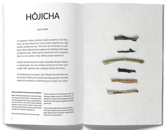 Eightyº - Eighty Degrees Tea Magazine Issue 13: Community. History. Mysticism.