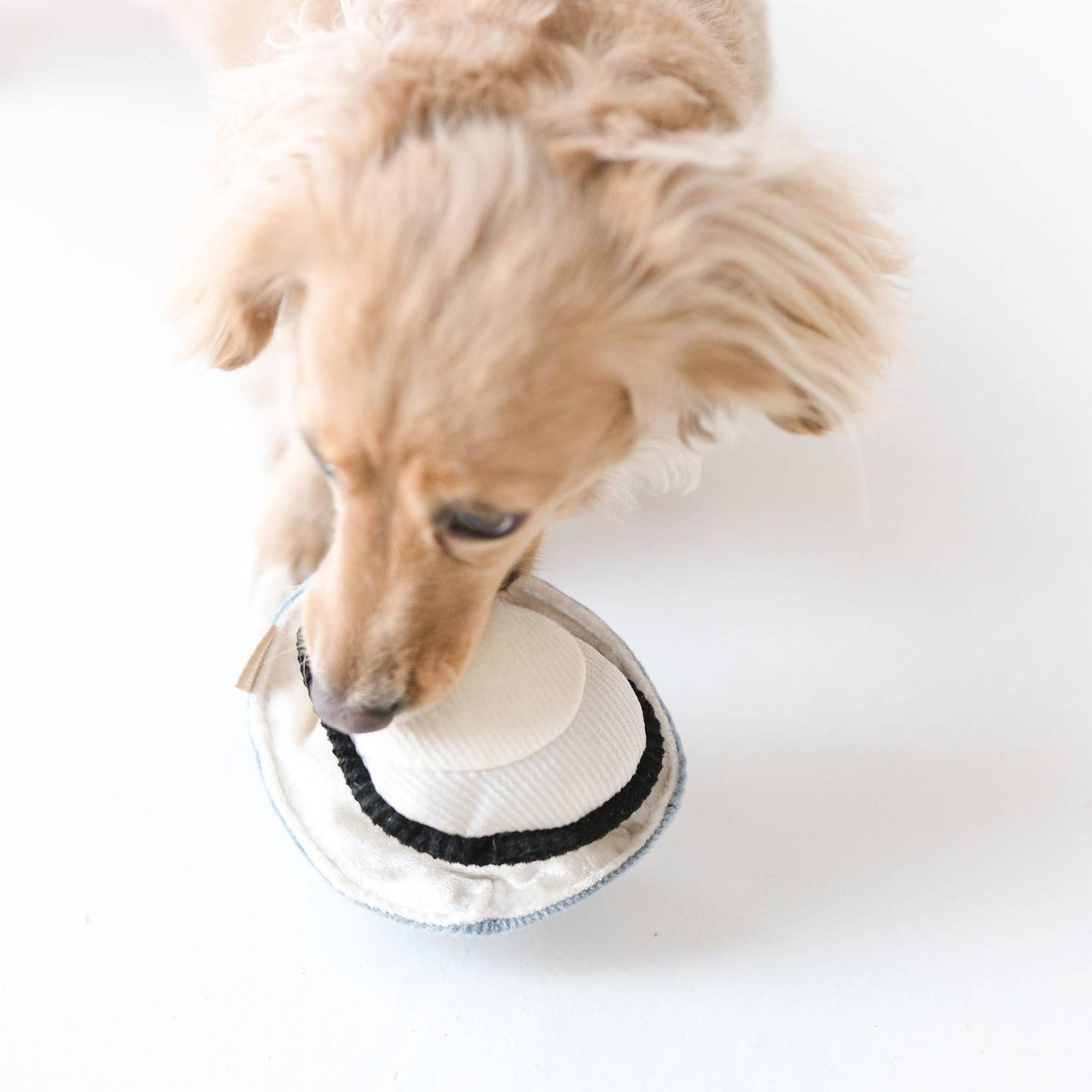 HereThe GILLARDEAU//ENRICHMENT DOG TOY