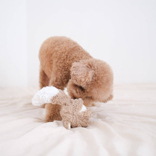 Gohobi x Lambwolf FOX POP