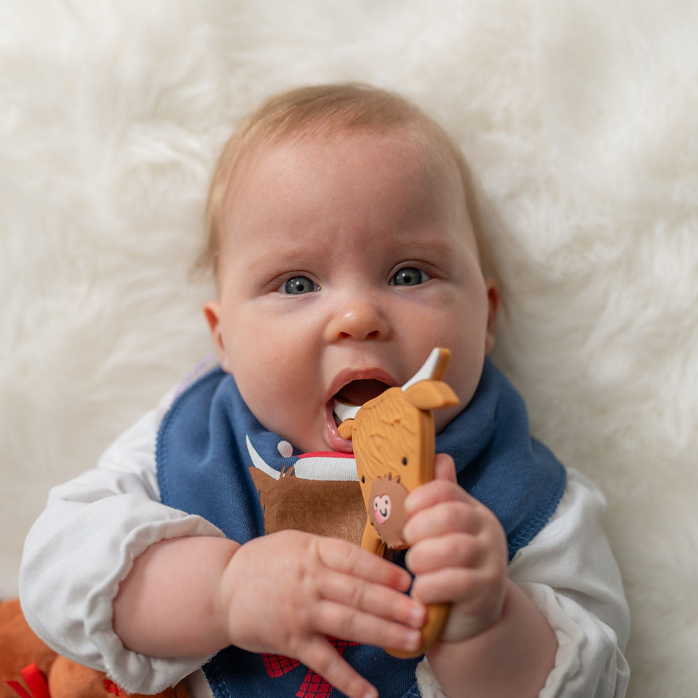 HereThe Highland Cow Christmas Bib