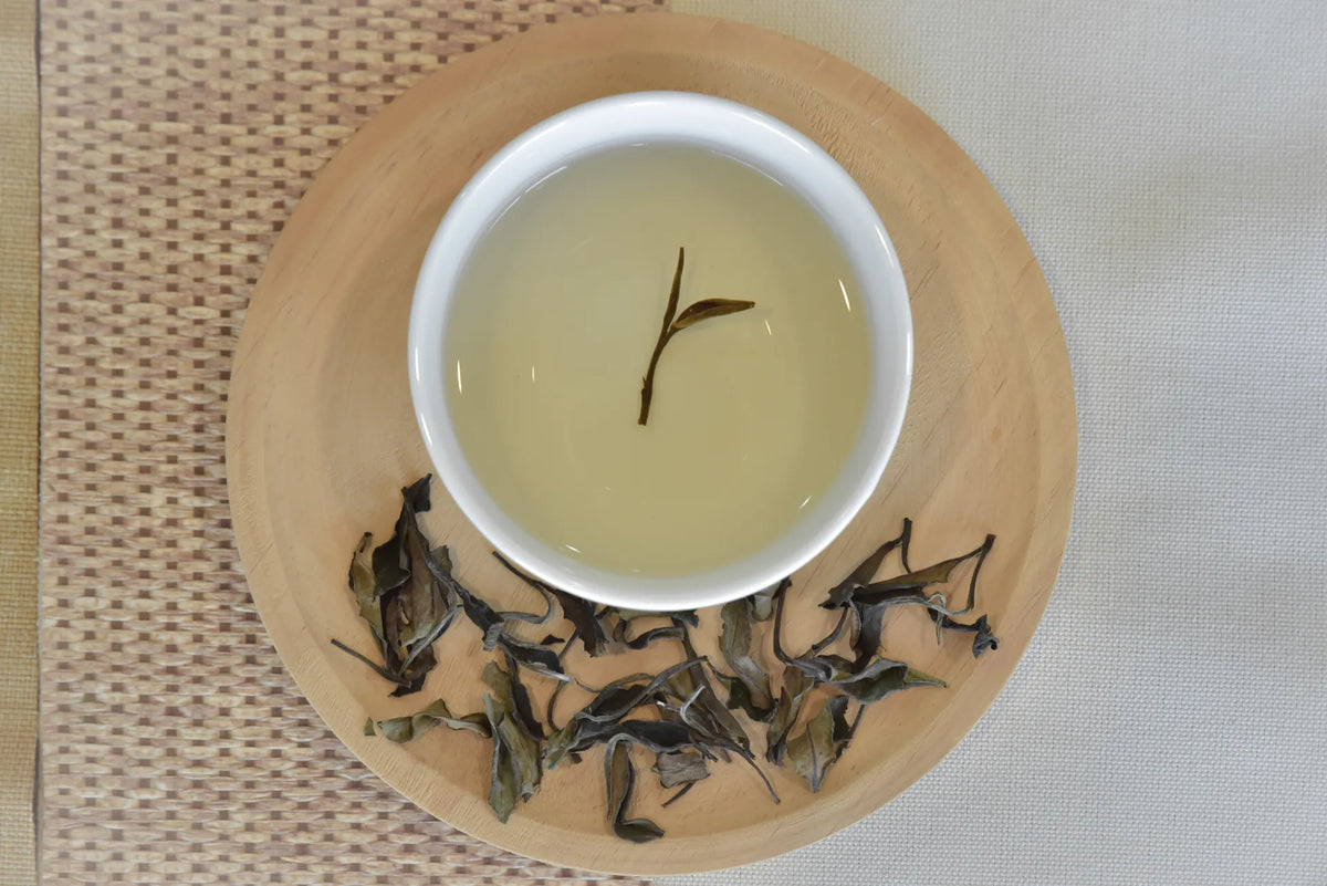 Gohobi Limited Edition Founder's Selection - Organic Taiwanese Oolong Tea 精選有機台灣烏龍