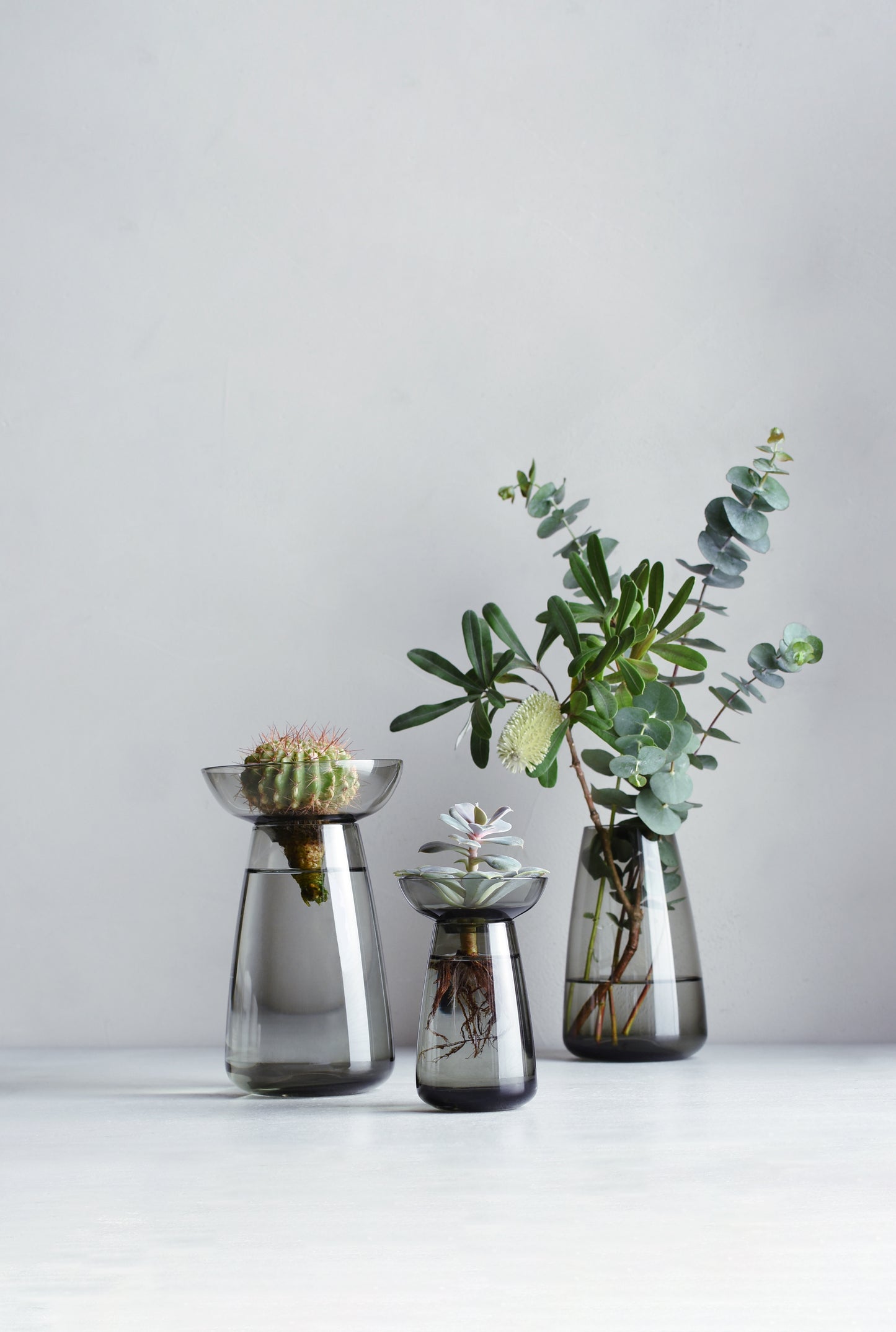 Gohobi x Kinto AQUA CULTURE VASE