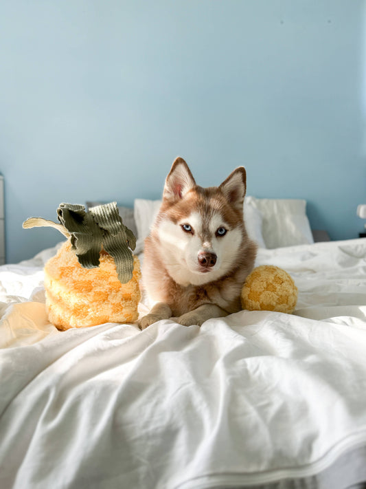 Gohobi x Lambwolf PINEAPPLE//ENRICHMENT DOG TOY