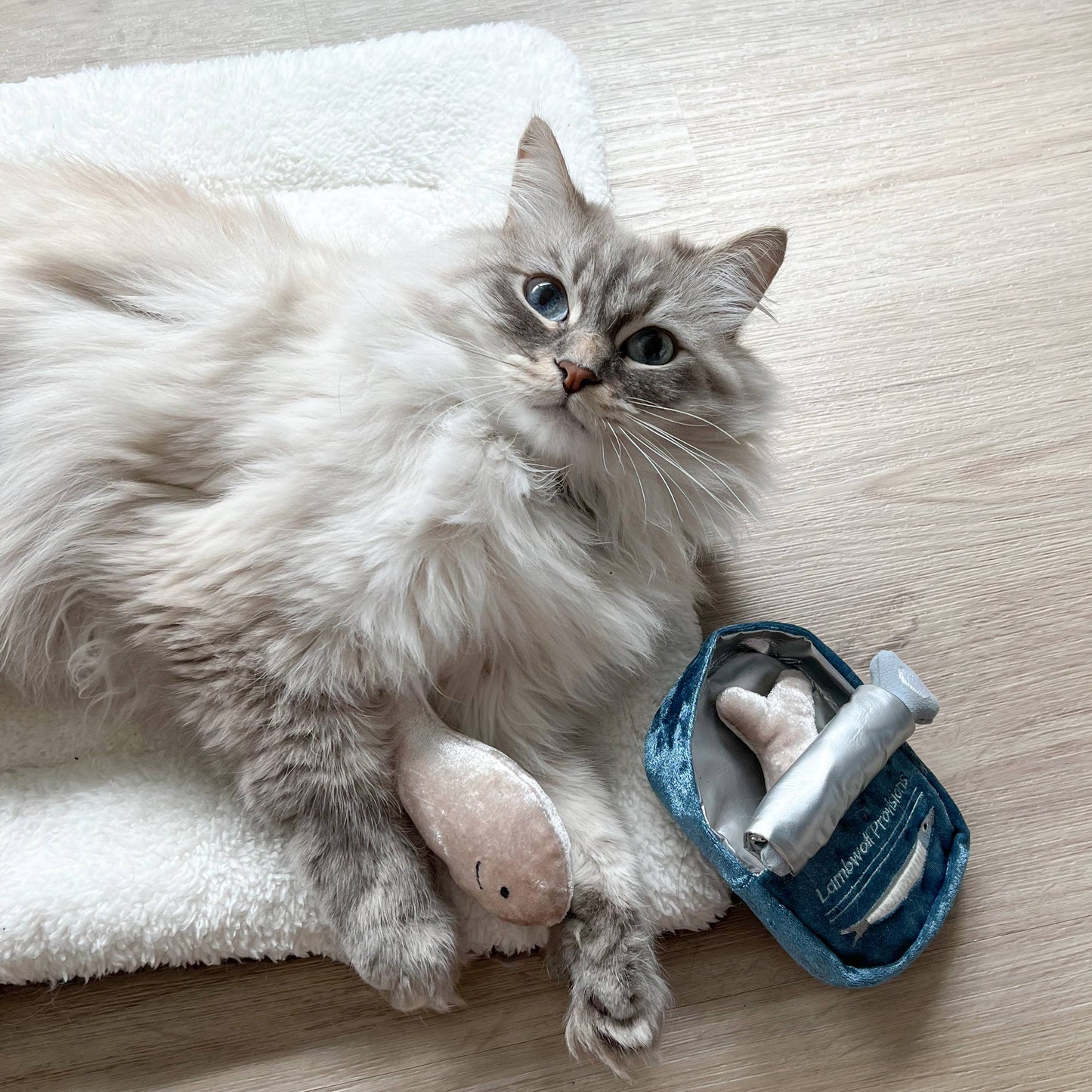 Gohobi x Lambwolf KITTY SARDINES