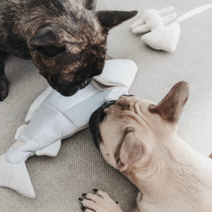 Lambwolf TROUT//ENRICHMENT DOG TOY