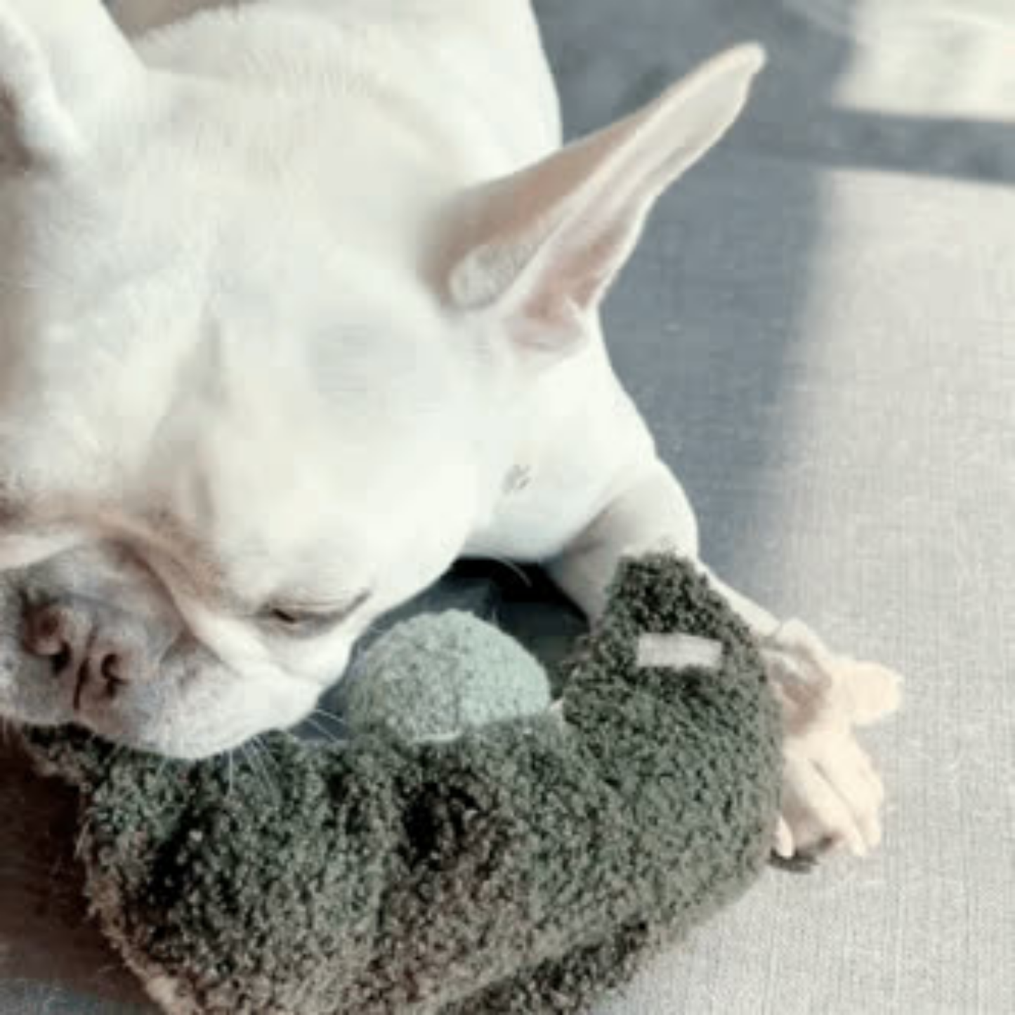 Gohobi x Lambwolf  PEA POP // ENRICHMENT TOY // SNUFFLE TOY