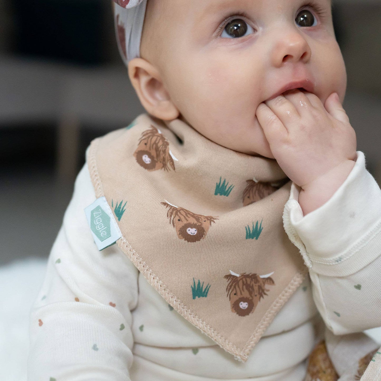 HereThe Highland Cow print bib