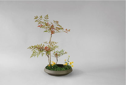 ohobi Frosted Ceramic Ikebana Bowl – Large Zen Flower Arrangement Water Plate