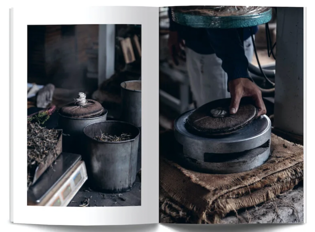 Eightyº - Eighty Degrees Tea Magazine Issue 03:  Vietnam’s Snow Shan, Tea & Food Culture