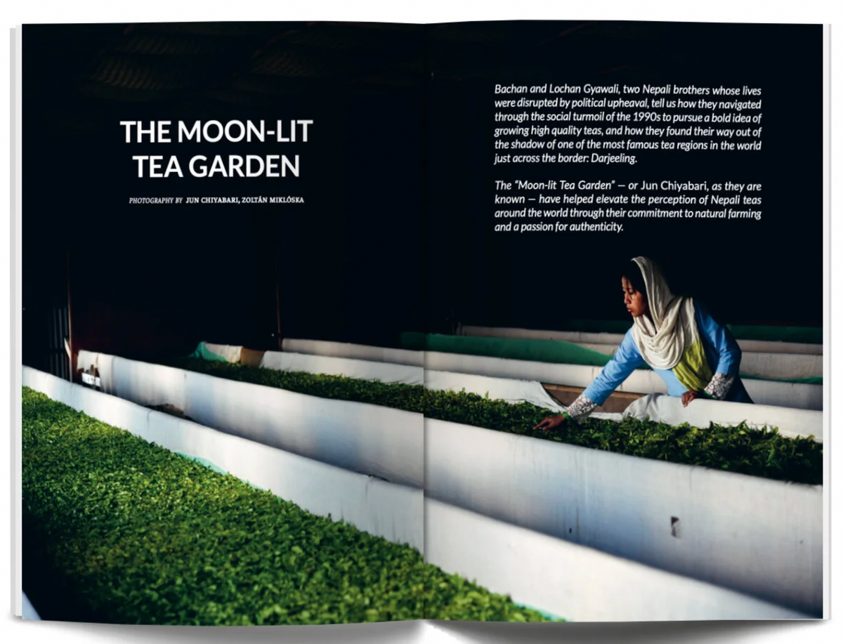 L'issue Tea Eightyº - Eighty Degrees Tea Magazine Issue 05: China's Green Kings, T ...