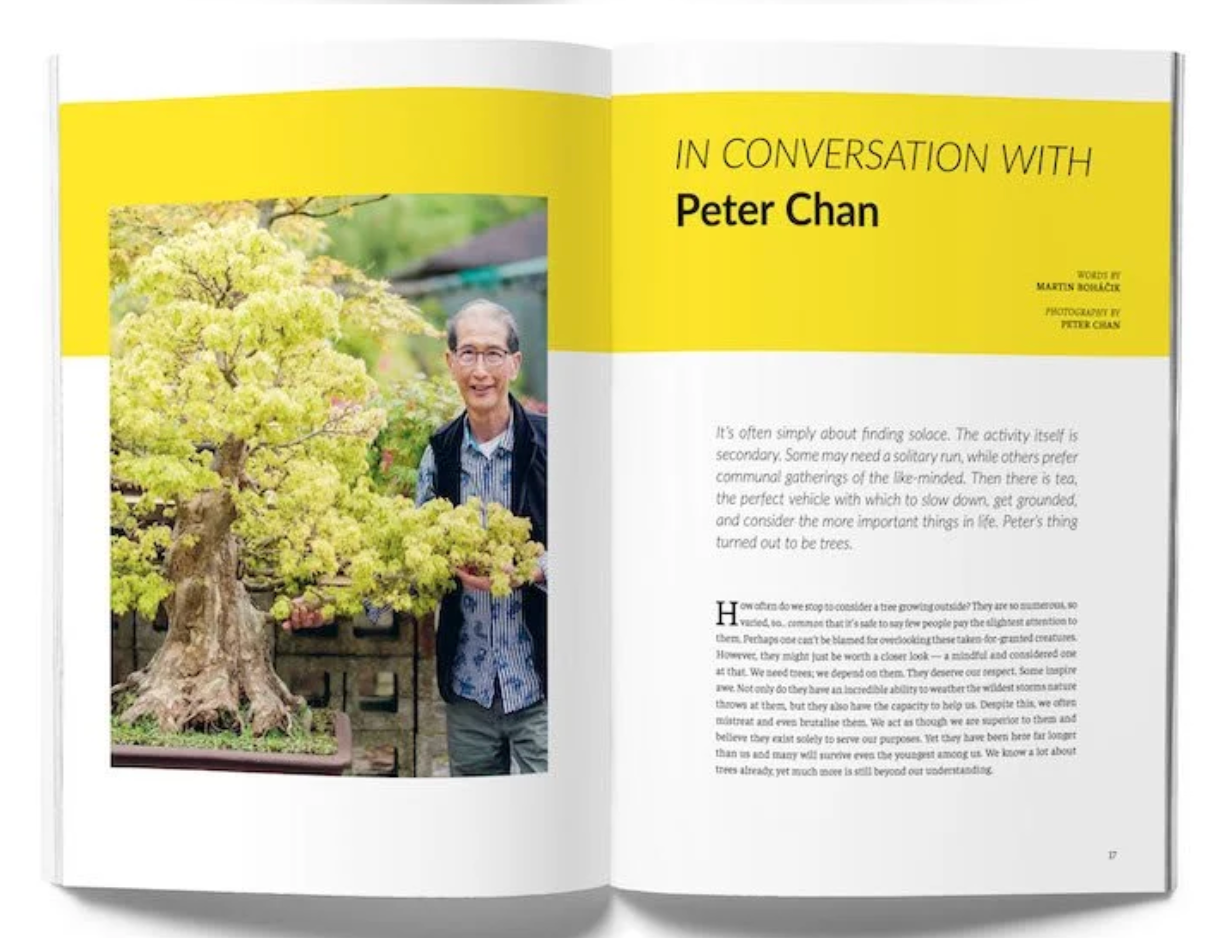 Eightyº - Eighty Degrees Tea Magazine Issue 08:  Pu'er, Bonsai, Ceramics & Sacred Tea Spaces