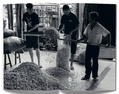 Eightyº - Eighty Degrees Tea Magazine Issue 12:  Tieguanyin, cocktails, metamorphosis.