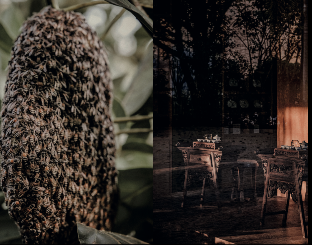 Eightyº - Eighty Degrees Tea Magazine Issue 16:  Heat