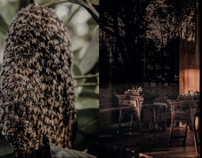 Eightyº - Eighty Degrees Tea Magazine Issue 16:  Heat