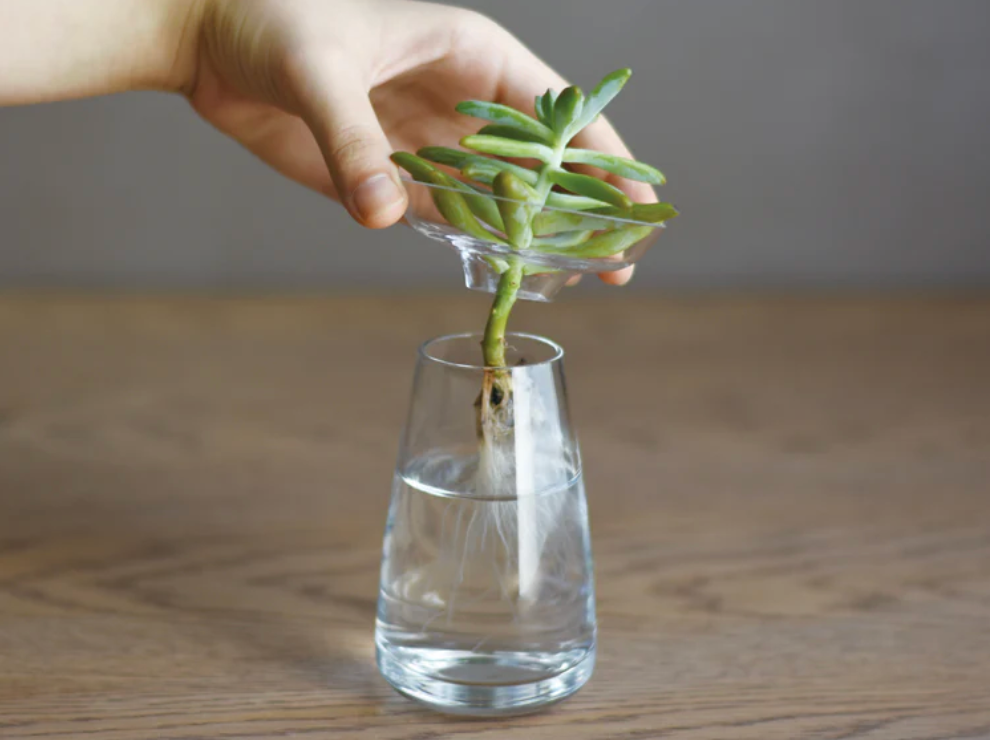 Gohobi x Kinto AQUA CULTURE VASE