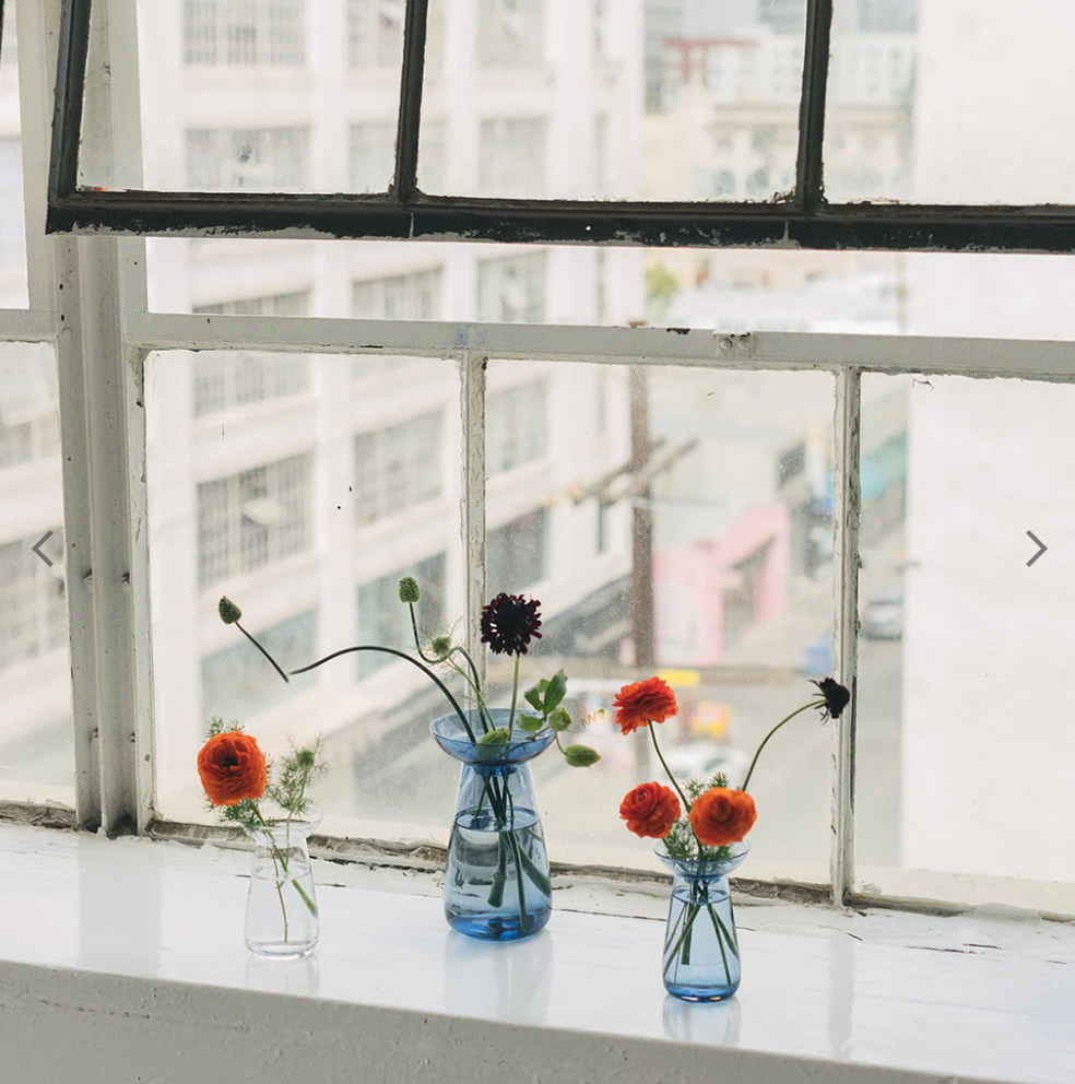 Gohobi x Kinto AQUA CULTURE VASE