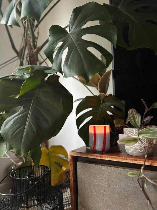 HereThe Atina Candle - Tomato & Mint Leaf