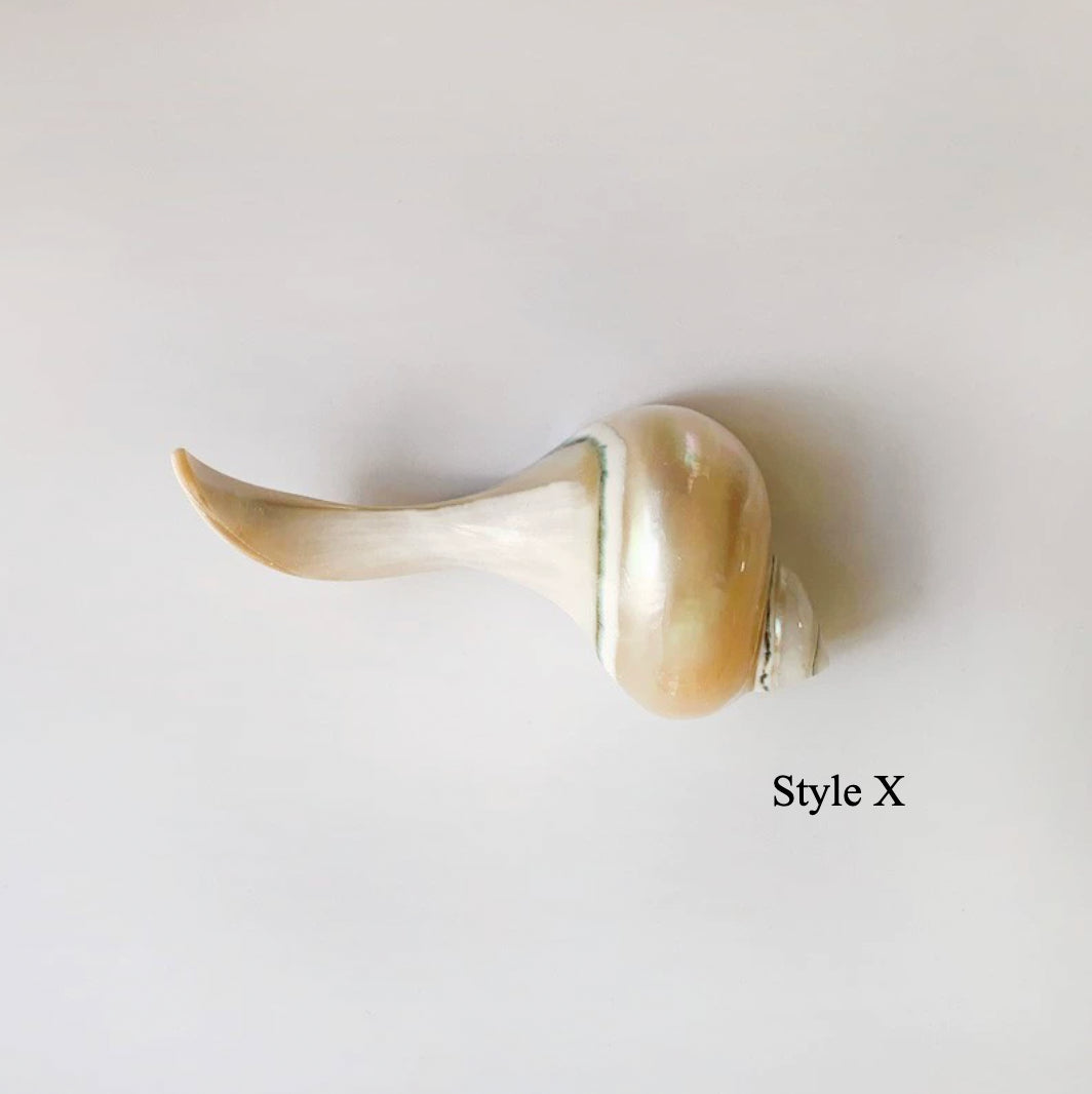 Gohobi Shell Chopstick Rest