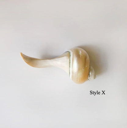 Gohobi Shell Chopstick Rest