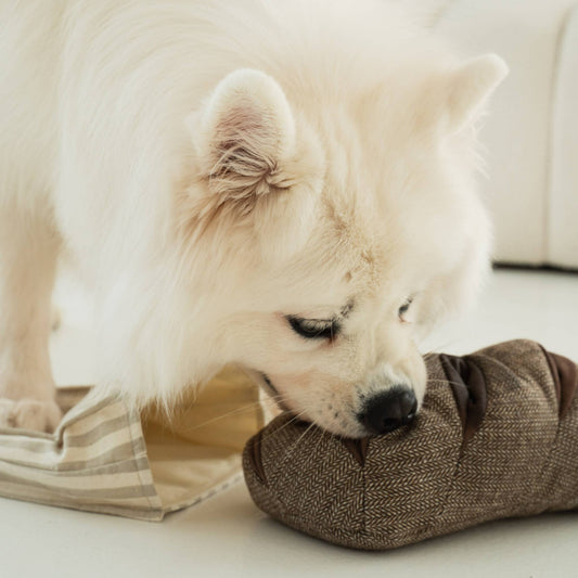 HereThe RYE //Enrichment dog toy