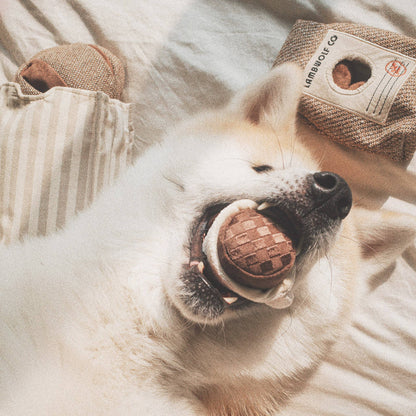 Gohobi x Lambwolf EXPRESSO POP//ENRICHMENT DOG TOY