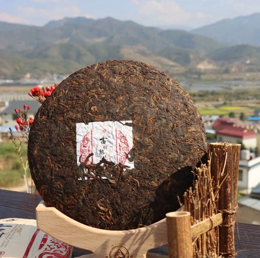 Gohobi Limited Edition Founder's Selection - Pu-erh Tea (Raw and Ripe) 精選普洱茶