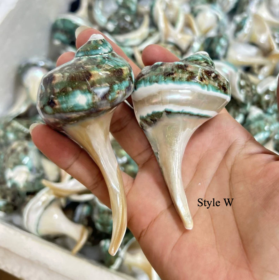 Gohobi Shell Chopstick Rest