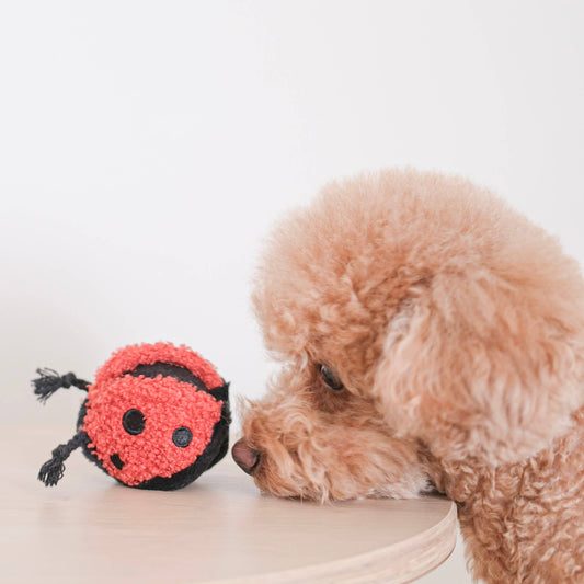 Gohobi x Lambwolf LADYBUG POP // ENRICHMENT TOY // SNUFFLE TOY
