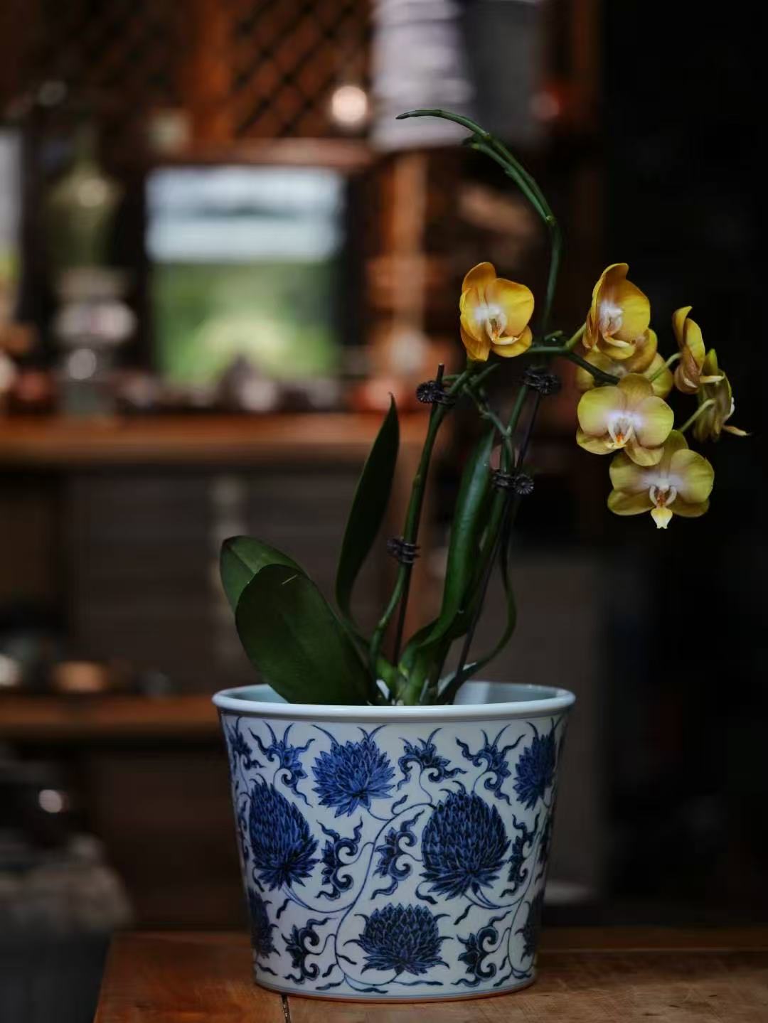 [蔓生敘古x Chingshui Tang] Wood-Fired Kiln Blue and White Lotus & Chrysanthemum Pattern Porcelain Ice Bucket