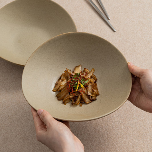 Gohobi Japanese Ceramic Irregular Salad Bowl