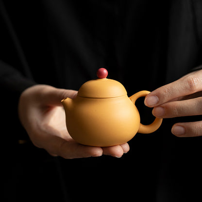 Gohobi Duanni Clay Wendan Style Teapot
