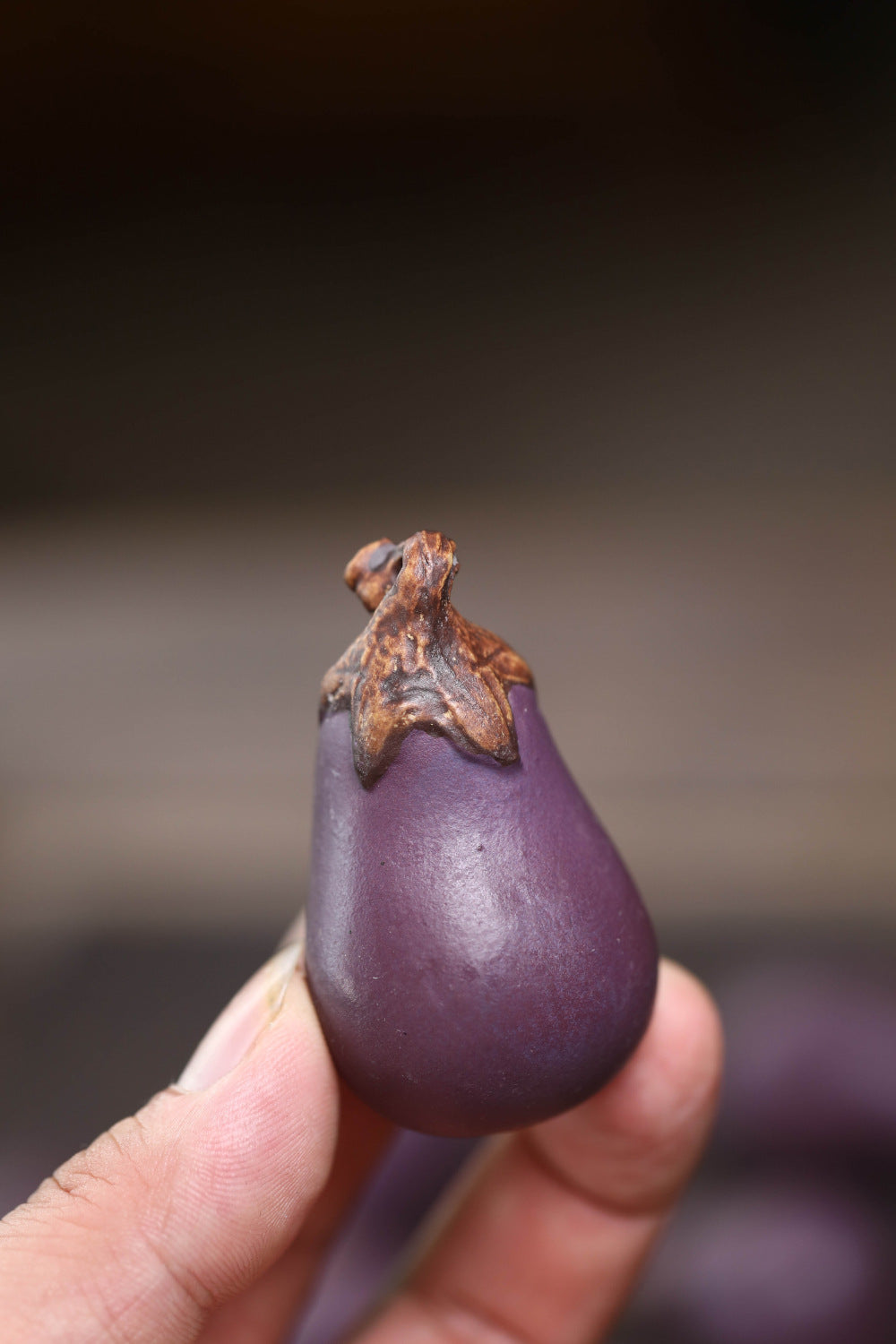 Gohobi Yixing Purple Sand Eggplant Tea Pet