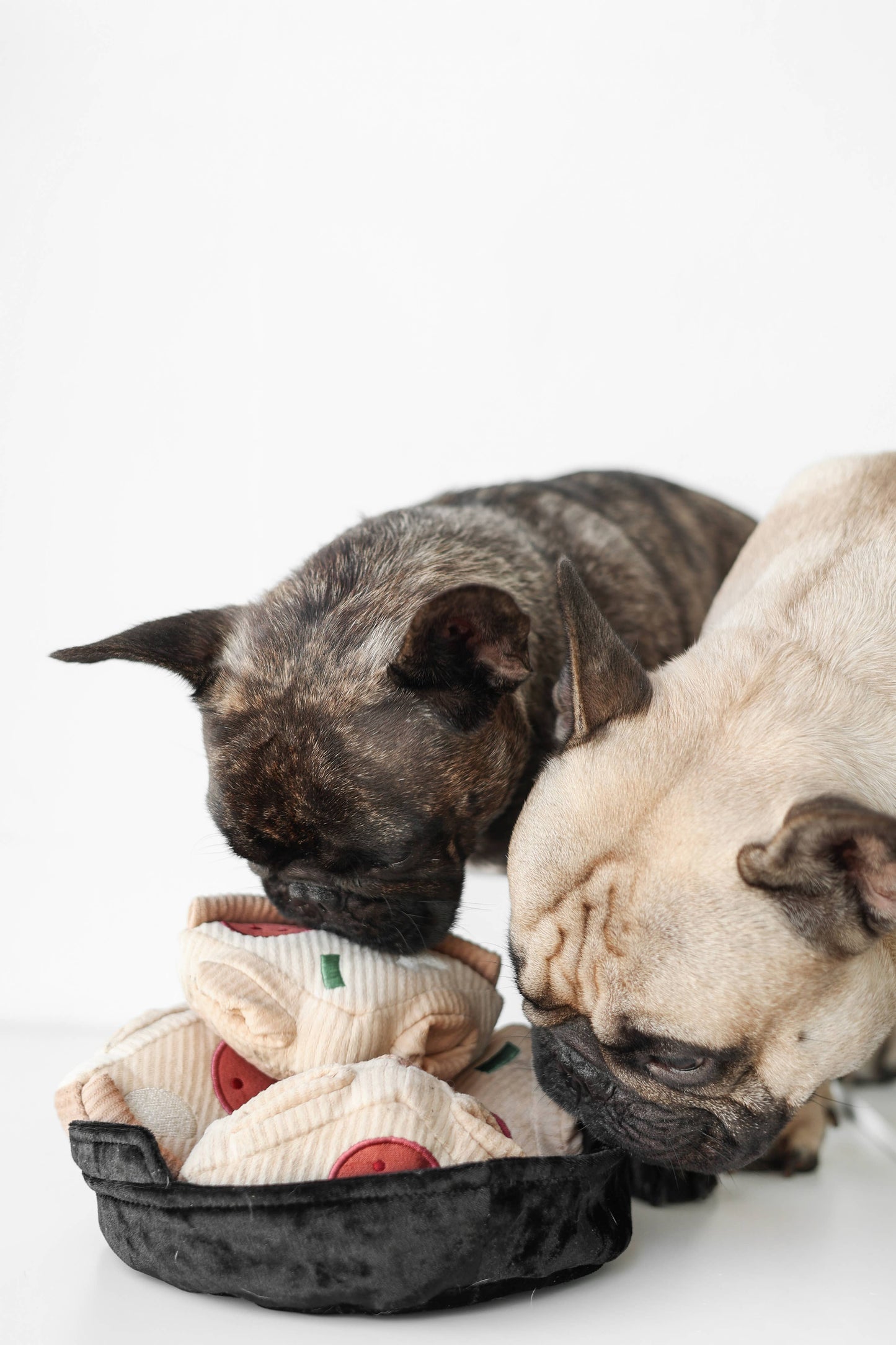 HereThe DEEP DISH PIZZA//Enrichment dog toy