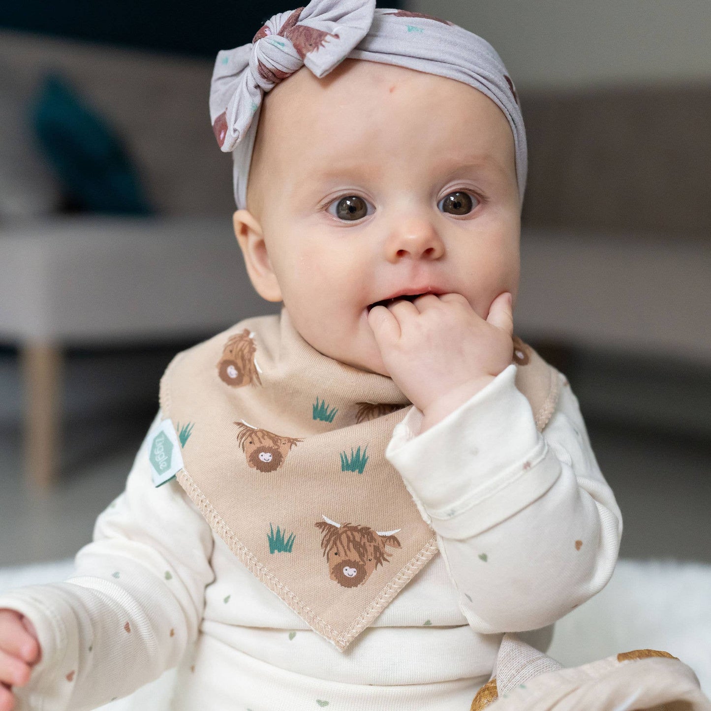 HereThe Highland Cow print bib