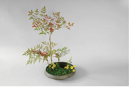 ohobi Frosted Ceramic Ikebana Bowl – Large Zen Flower Arrangement Water Plate