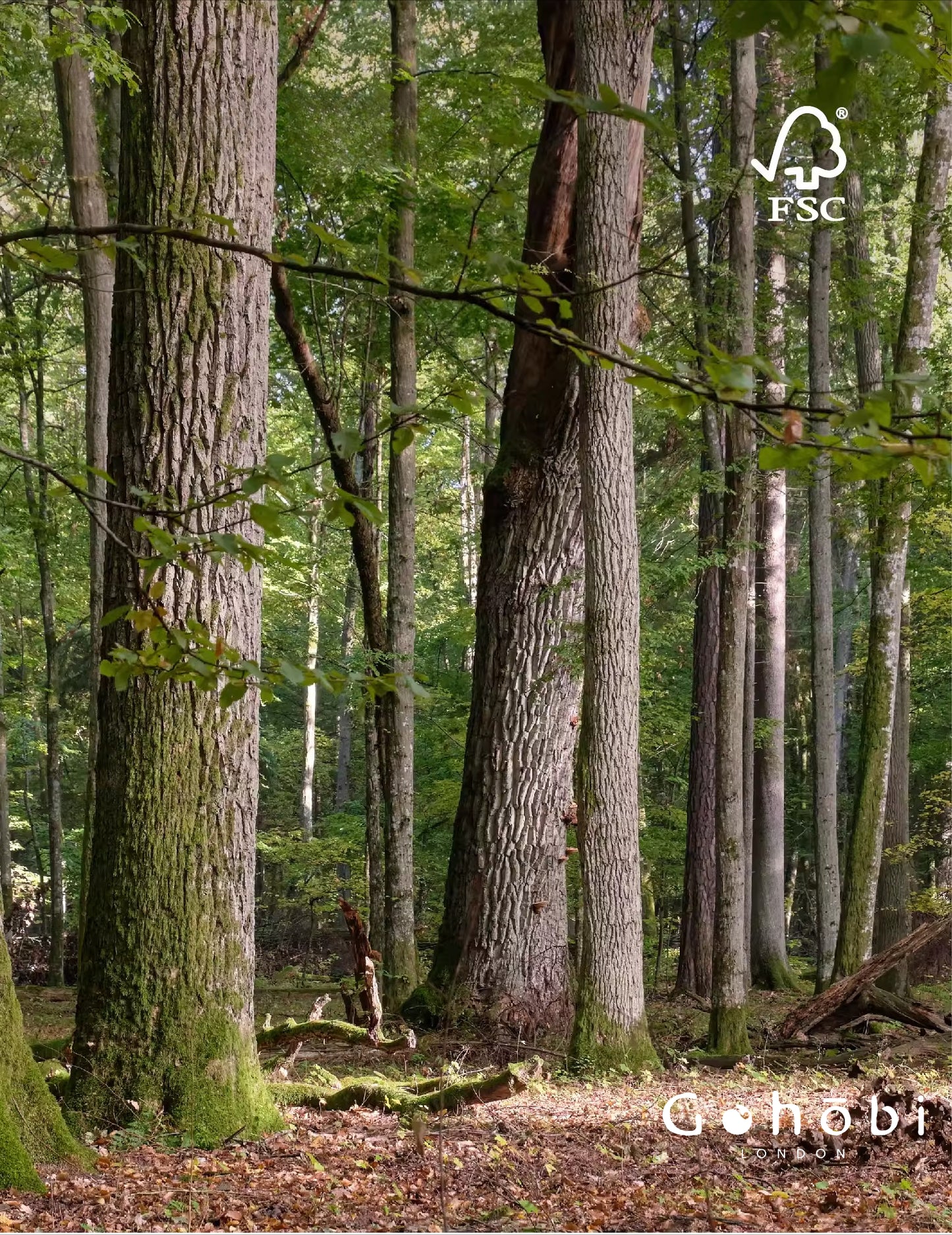 Gohobi Handmade Solid Wood Square Stool – Stackable Wooden Dining Stool Makeup Chair | FSC Certified Furniture, household makeup stool, Chinese square stool can be stacked dining table stool