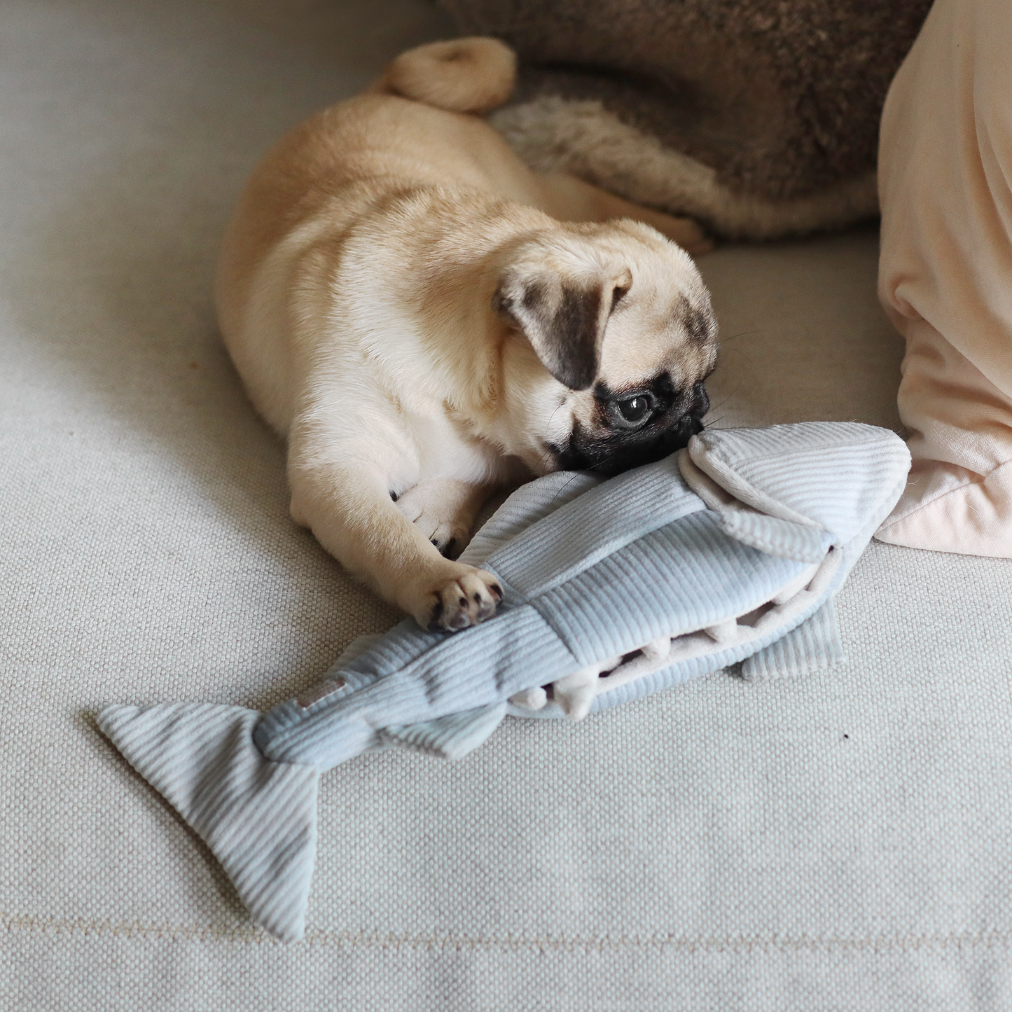 Lambwolf TROUT//ENRICHMENT DOG TOY