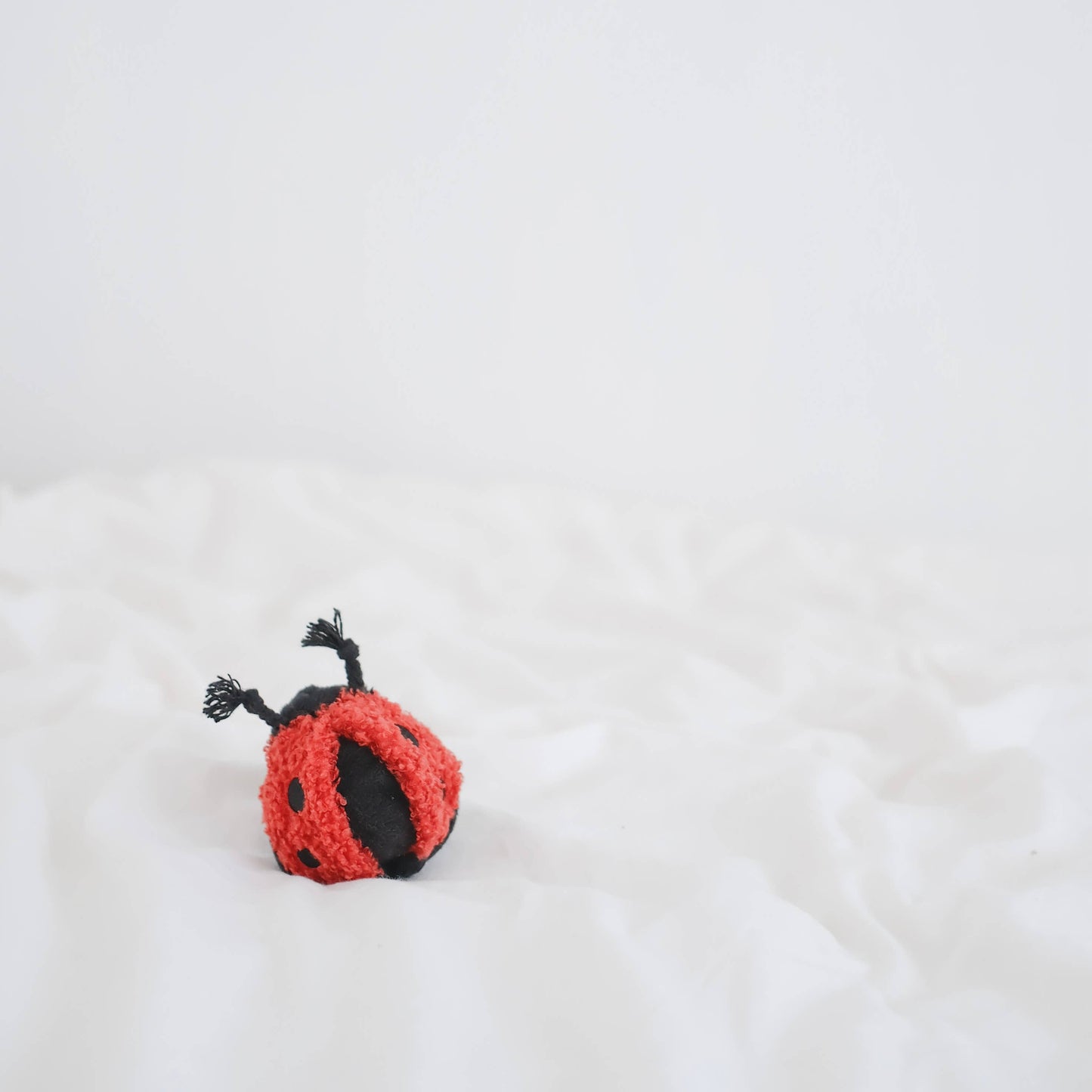 Gohobi x Lambwolf LADYBUG POP // ENRICHMENT TOY // SNUFFLE TOY
