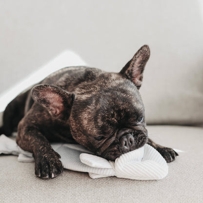 Lambwolf TROUT//ENRICHMENT DOG TOY