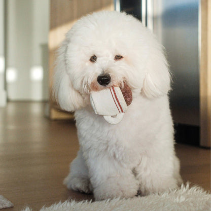 Gohobi x Lambwolf EXPRESSO POP//ENRICHMENT DOG TOY