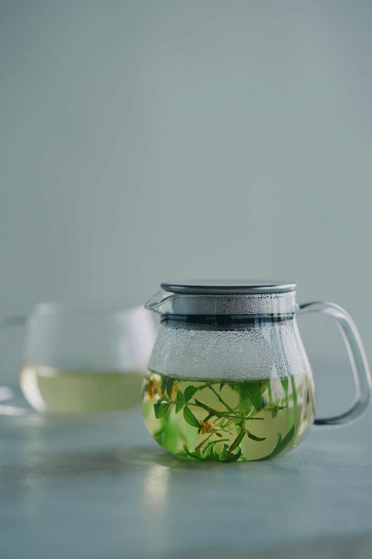 Kinto UNITEA UNITEA One Touch Teapot 460ml/ 720 ml